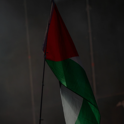 Join the PCC Power of 100 ChangeMakers as they stand together for equity, dignity, and Palestinian human rights.